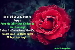 shayari in Hindi love SMS