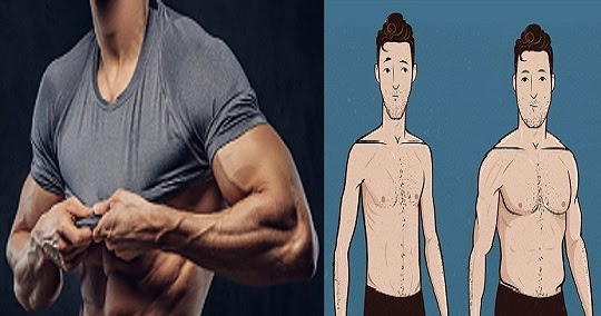 How to Eat and Train for an Ectomorph Body Type Get Big? ~ www