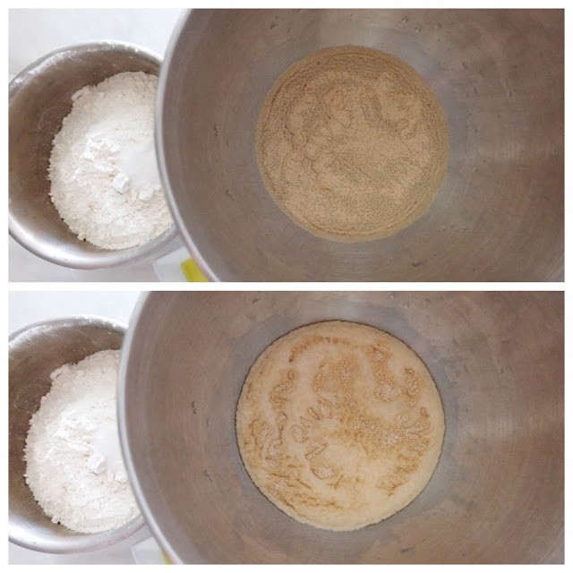 yeast before and after bloomed