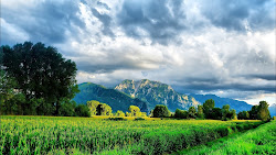nature desktop 1080p wallpapers landscape