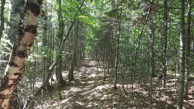 Vue à partir du sentier Mestashibo