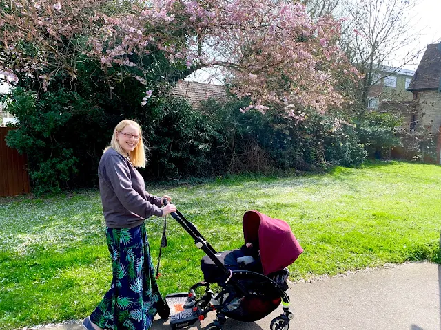 walking with the pushchair with blossom in the background
