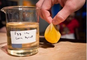 https://imaginationstationtoledo.org/content/2011/04/how-to-make-a-naked-egg/