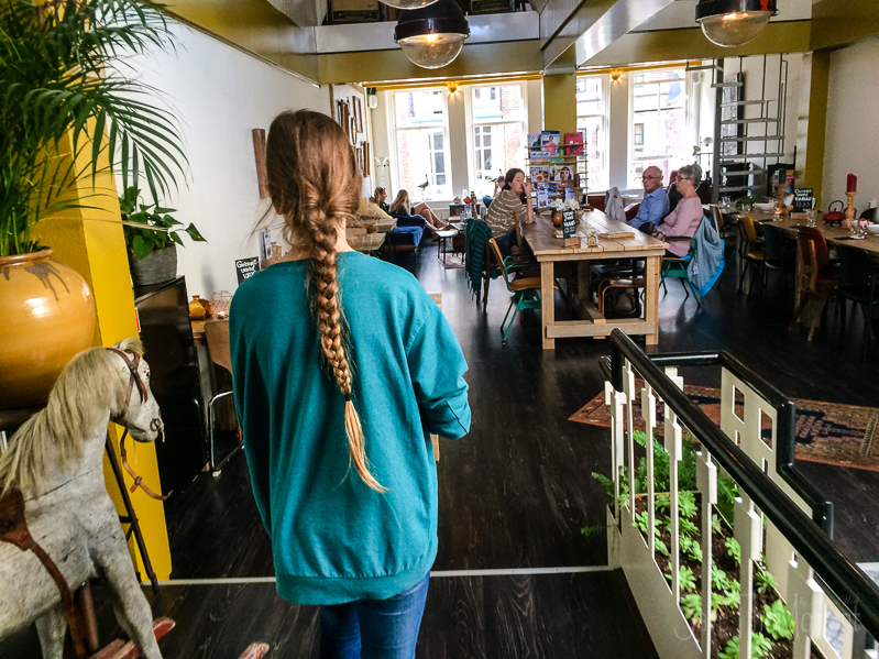 Jolinas Welt Das Brownies&downieS in Gouda