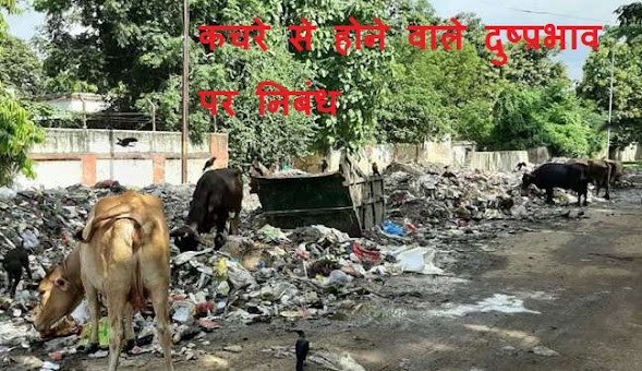 कचरे से होने वाले दुष्प्रभाव पर निबंध Essay on Side Effects of Waste In Hindi