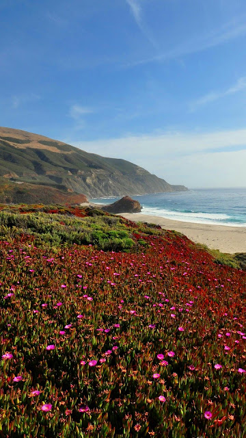 Landscape, sea, coast, mountains, field, iPhone flowers and desktop wallpaper. Landscape, sea, coast, mountains, field, iPhone flowers and desktop wallpaper.