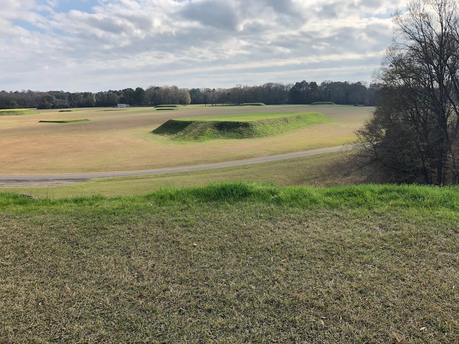 Spencer Family Farm, Marion Junction, Alabama