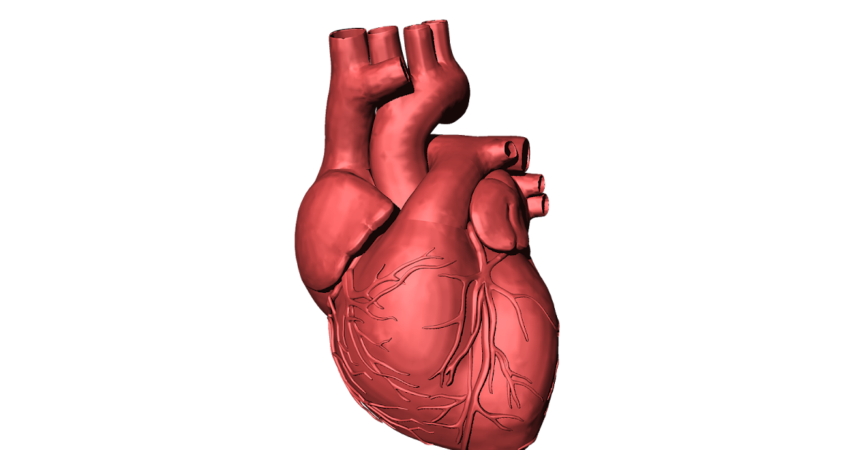 What is an artificial heart, how is it made, and how does it work