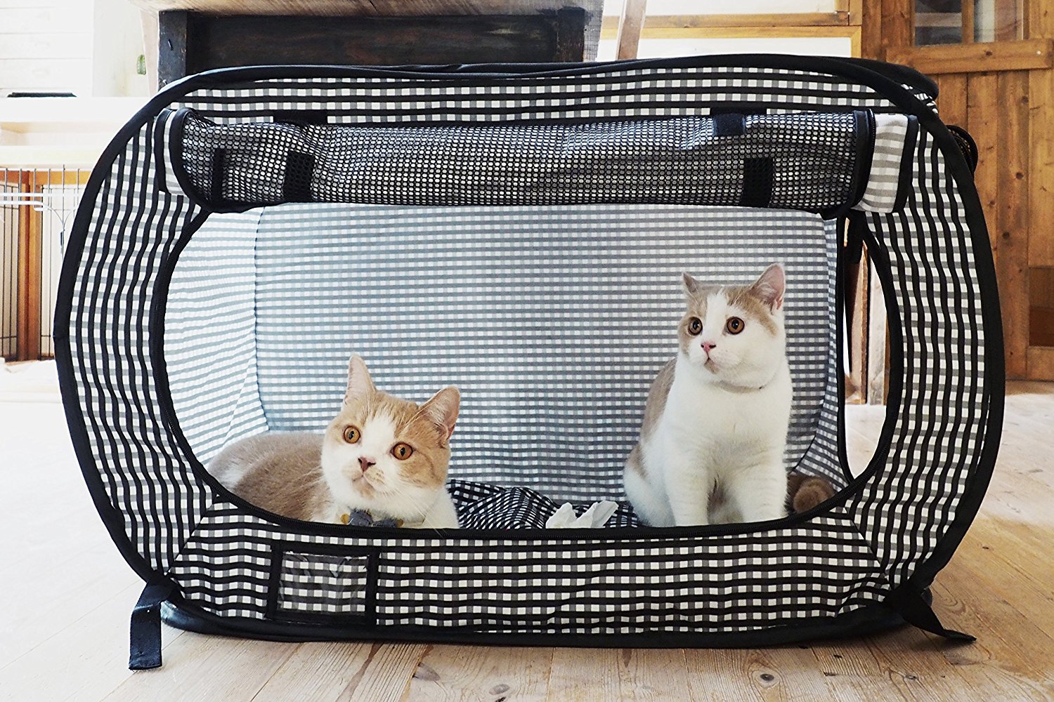 How to Create a Kitten Playpen