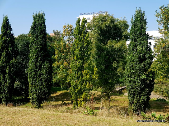 Warszawa Warsaw Mokotów park parki teren zielony Dolinka Służewiecka drzewa