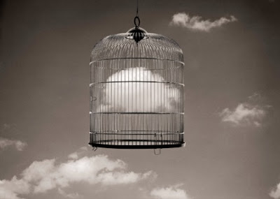 Doctor Ojiplatico. Chema Madoz. Arte y Trampantojo