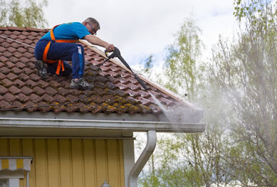 roof cleaning nj