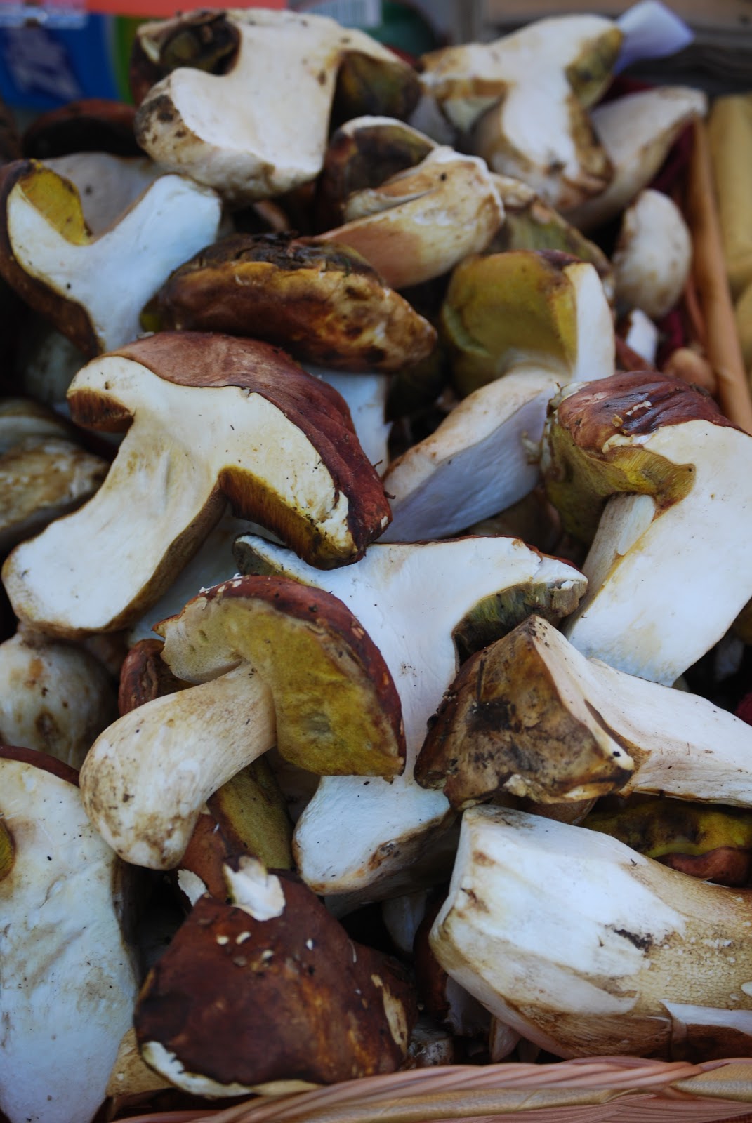 Good Food Happy Man Porcini Mushrooms