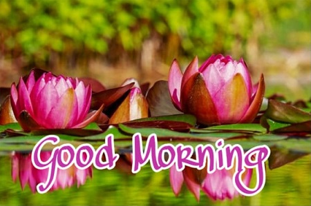 New Good Morning New Good Morning