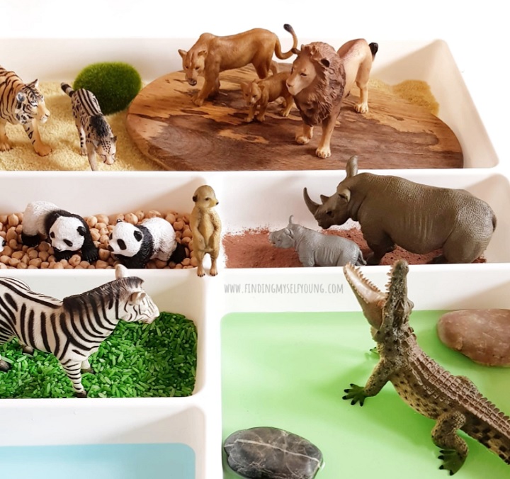 zoo animal figurines in a small world tray