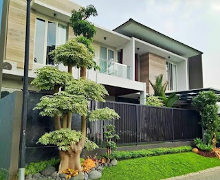 Taman depan rumah Taman depan rumah