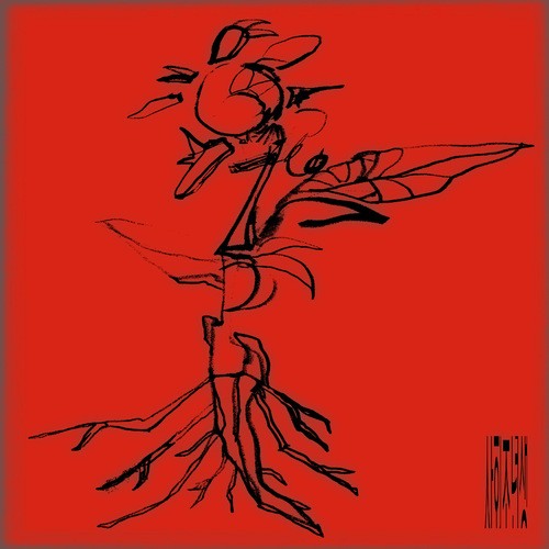 OLNL – Newbie – Single