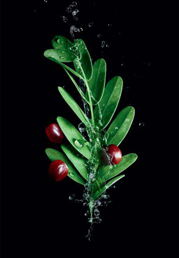 Tonucia Natural Filler, el nuevo ritual antiedad redensificante de Rene Furterer