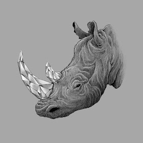 07-Rhino-Kerby-Rosanes-www-designstack-co