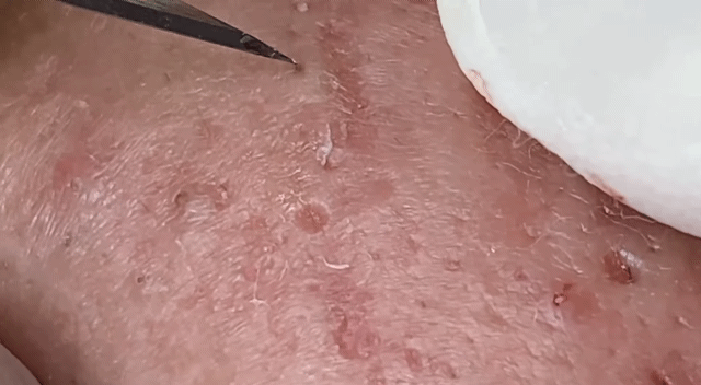 bc95f16da05f052df0407f4ab8072385b1b343f3