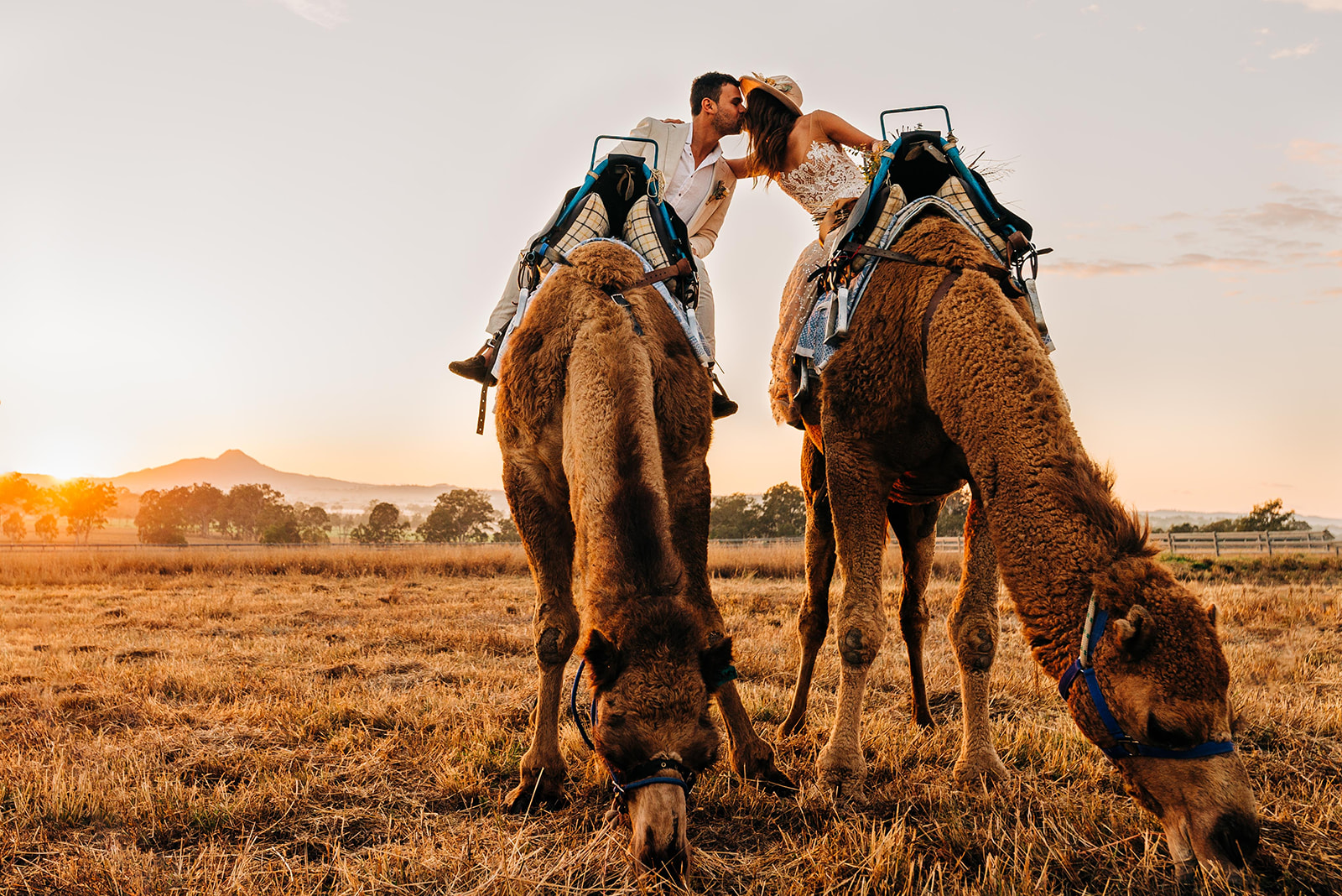 to the aisle australia | champagne at sunrise summer land camels shoot match made photography gold coast weddings country boho floral design cake stationery venue