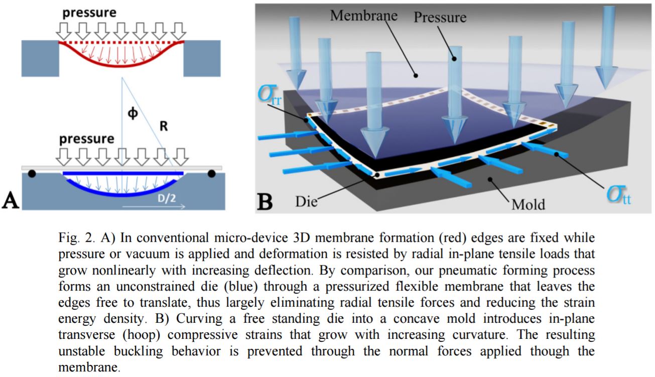 Image Sensors World Curved Sensor DoItYourself Tutorial