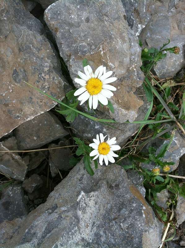 Le MOT DU JOUR CoopBelsud Quoi qu’il en soit