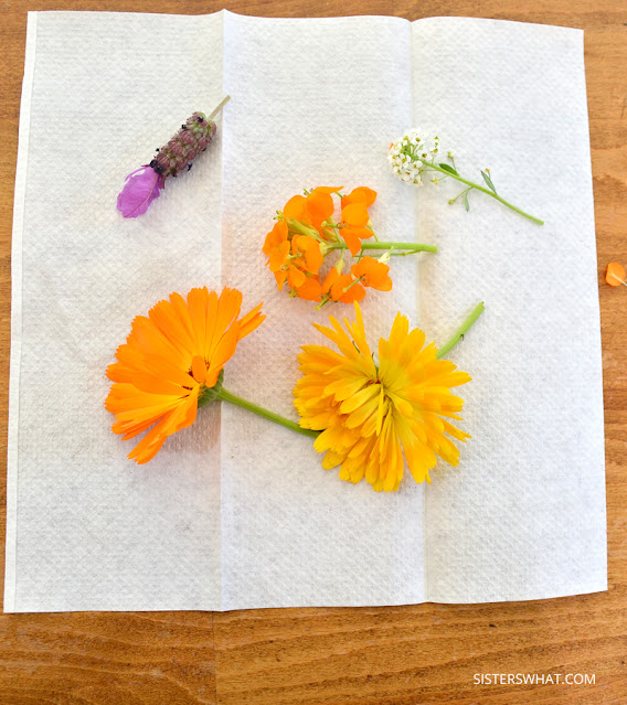 dry flowers in microwave