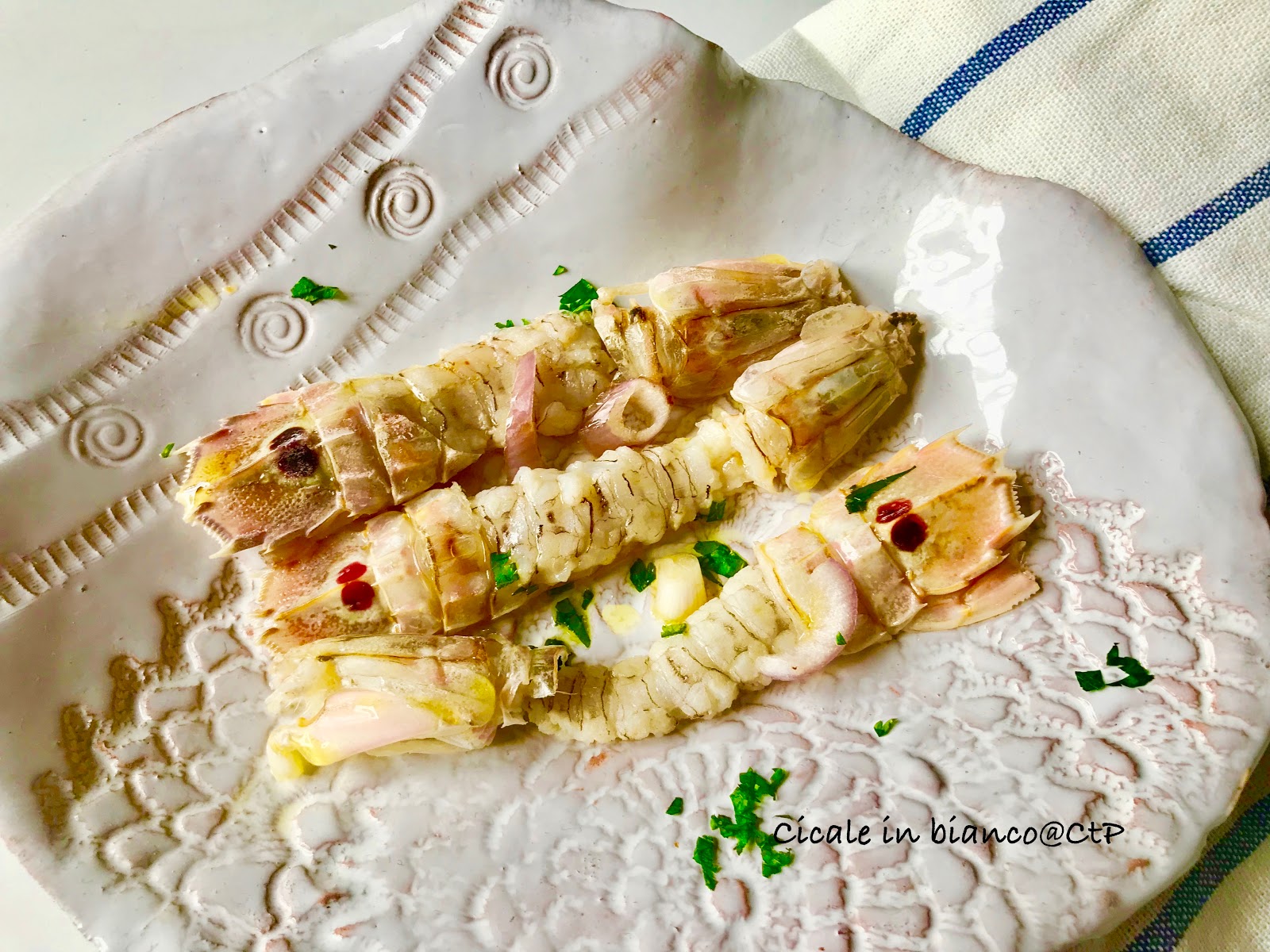 Cicale in bianco di alessandra ruggeri Cicale in bianco di alessandra ruggeri