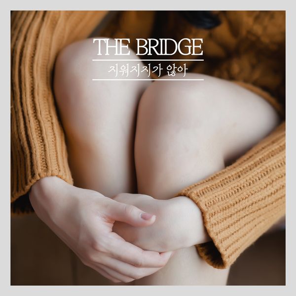 The Bridge – I can’t forget you – Single