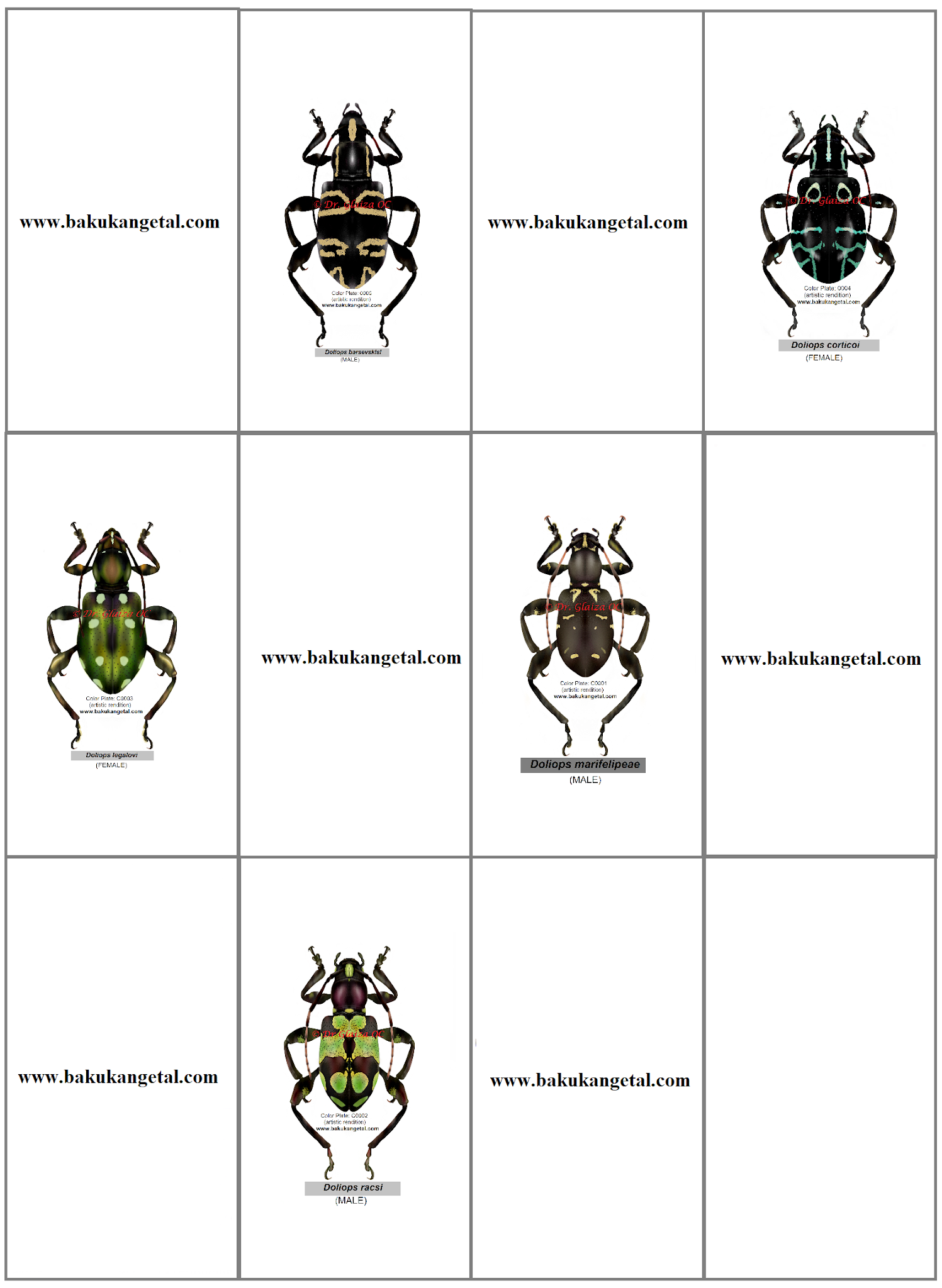 Holotype tracker for Philippine longhorned beetles (Coleoptera