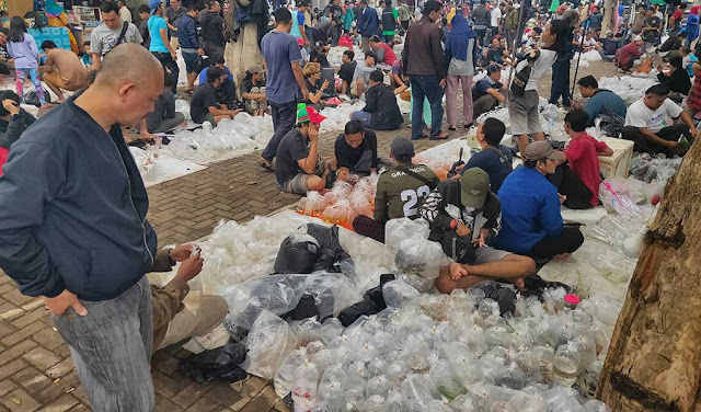 Jam Buka Pasar Ikan Hias Jatinegara dan Lokasi Terbaru