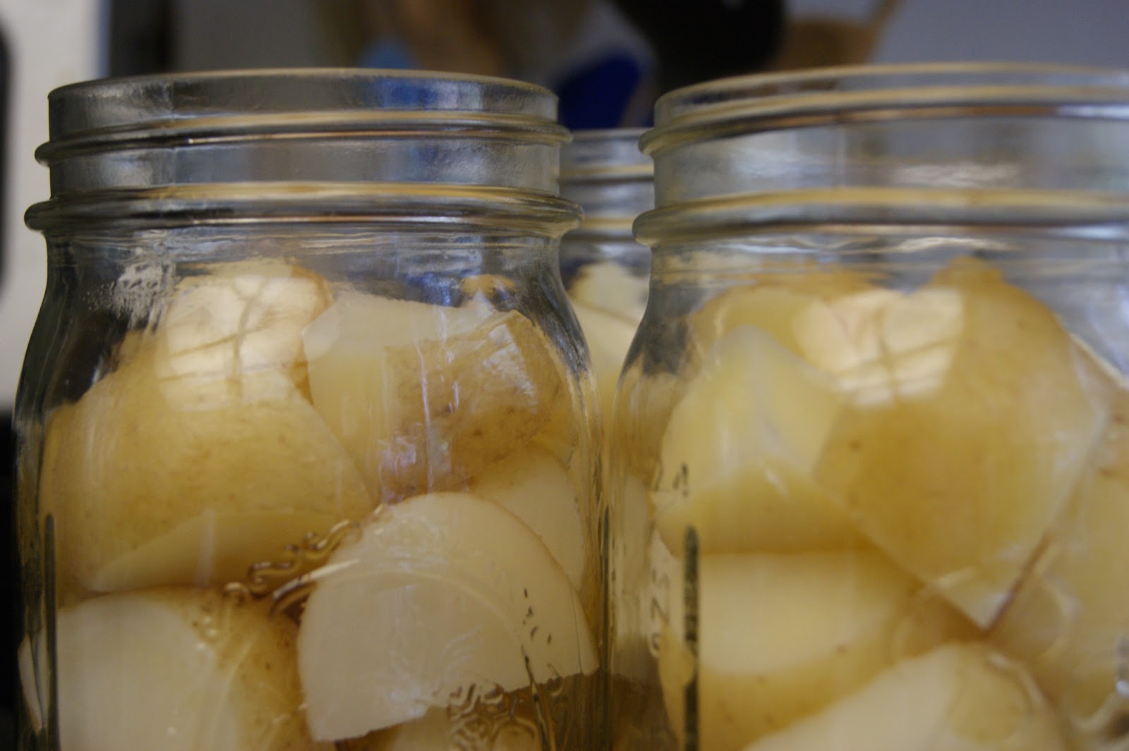 Canarella Pressure Canning Potato's