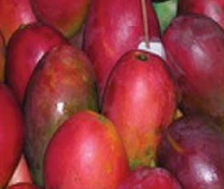 mangga garifta