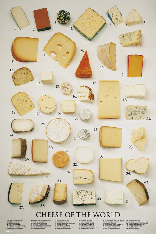 The Many Different Types of Cheese