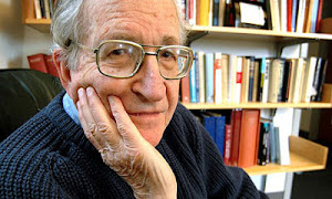 Noam Chomsky ir a su biblioteca virtual