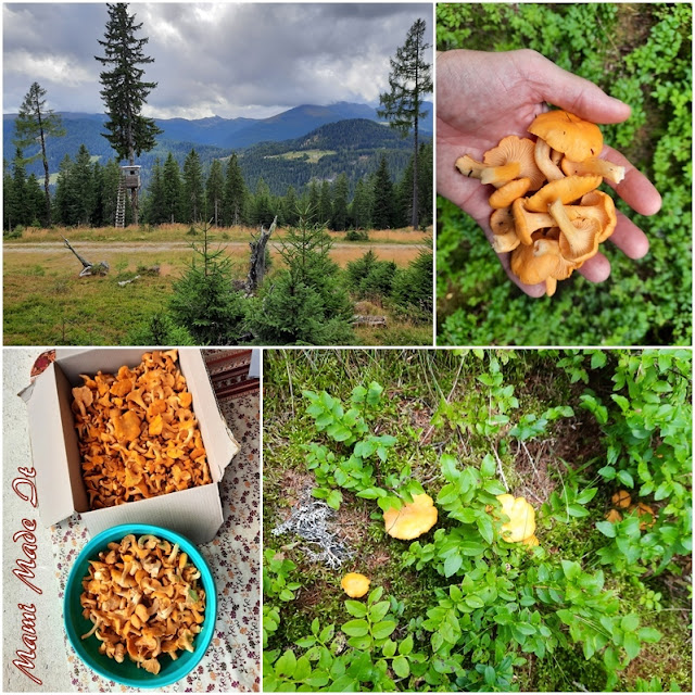 Eierschwammerl (Pfifferlinge) - chanterelles