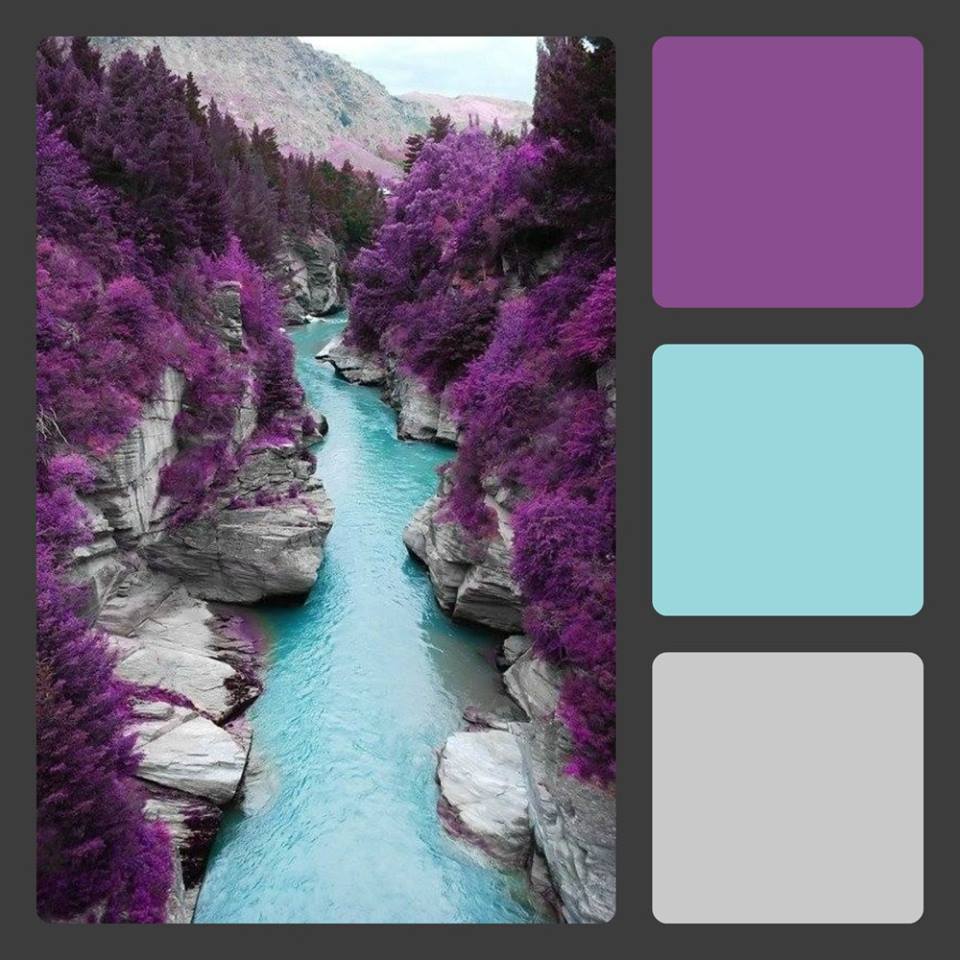 Pause Dream Enjoy Color Challenge (purple, aqua, gray)