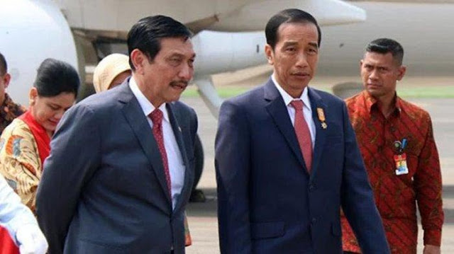 Luhut Wacanakan Impor Dokter, IDI: Bukan Kewenangan Menteri Maritim