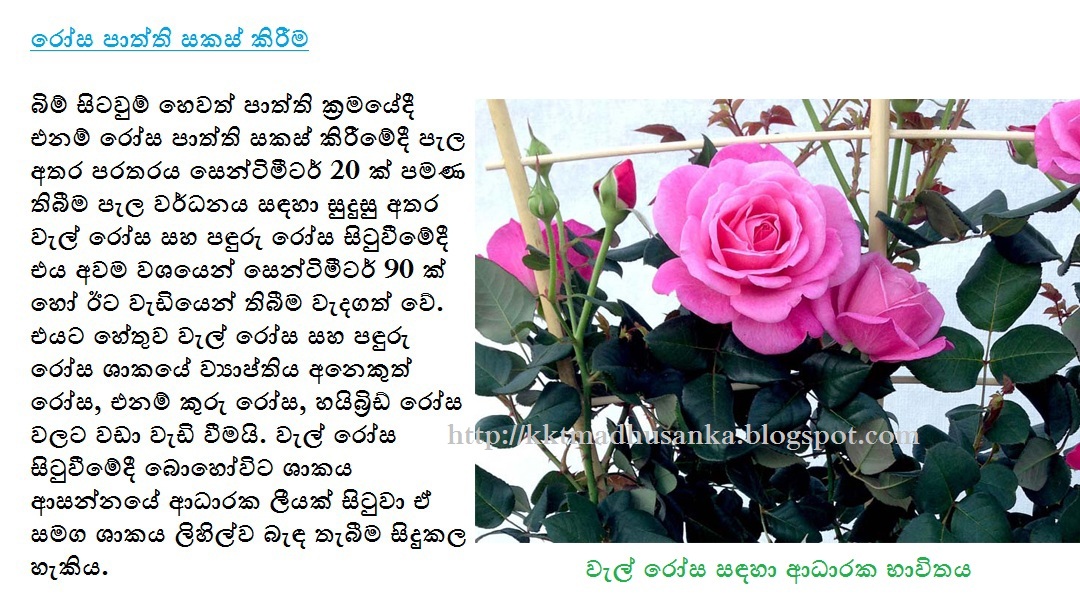 Mal wagawa sinhala pdf