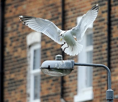 Di Ketinggian Villa Camar Aenze Blog