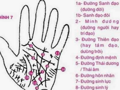 Xem chỉ tay nam giới - Bói chỉ tay đàn ông đoán sự nghiệp, tình duyên