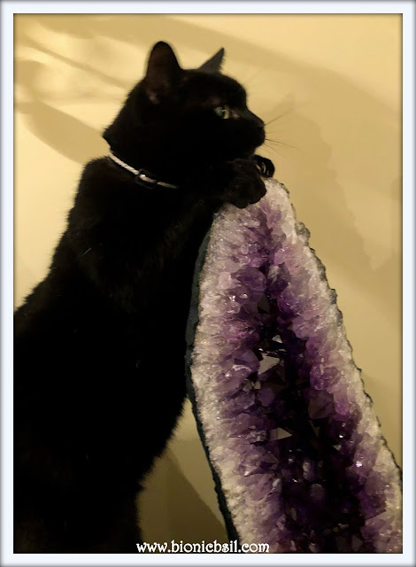 Parsley Loves His Amethyst Geode ©BionicBasil® Colouring With Cats Mandala #111