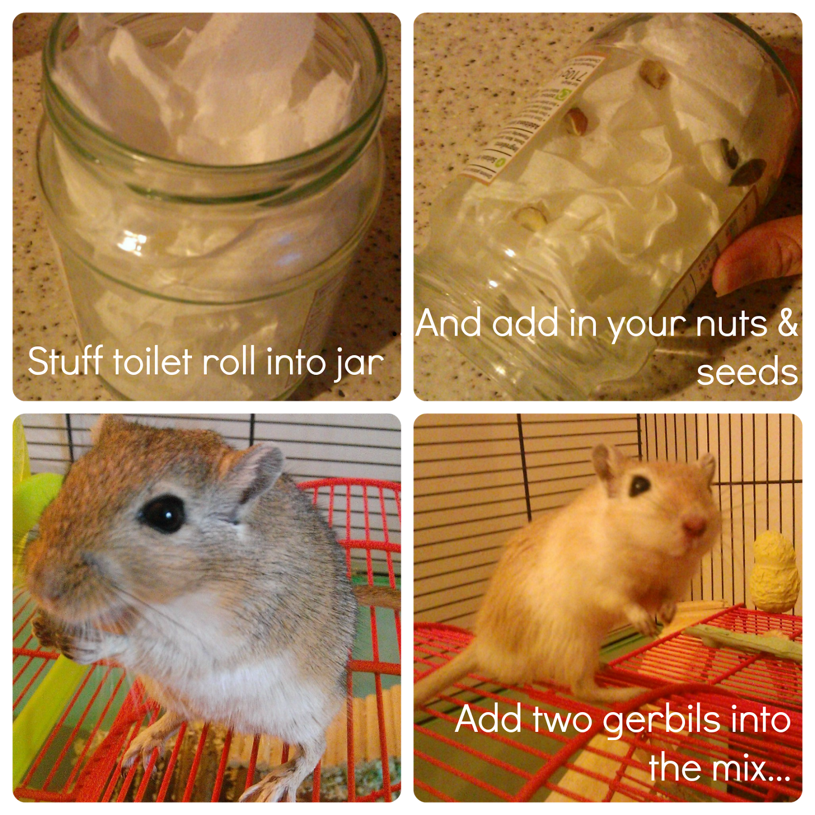 Just Me BEDM Day 17 A very cheap gerbil toy...