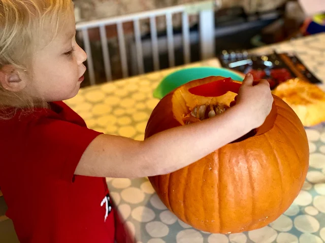 A 3 year old using an orange scoop to remove the pumpkins seeds from a pumpkin
