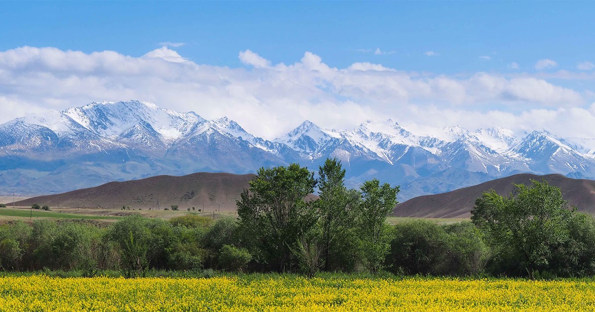 медресе денау. сурхандарье денов. узбекистан город денов. сурхандарья вилояти. карта сурхандарьинская область.