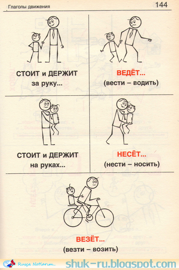 Глаголы движения в русском языке для иностранцев в картинках