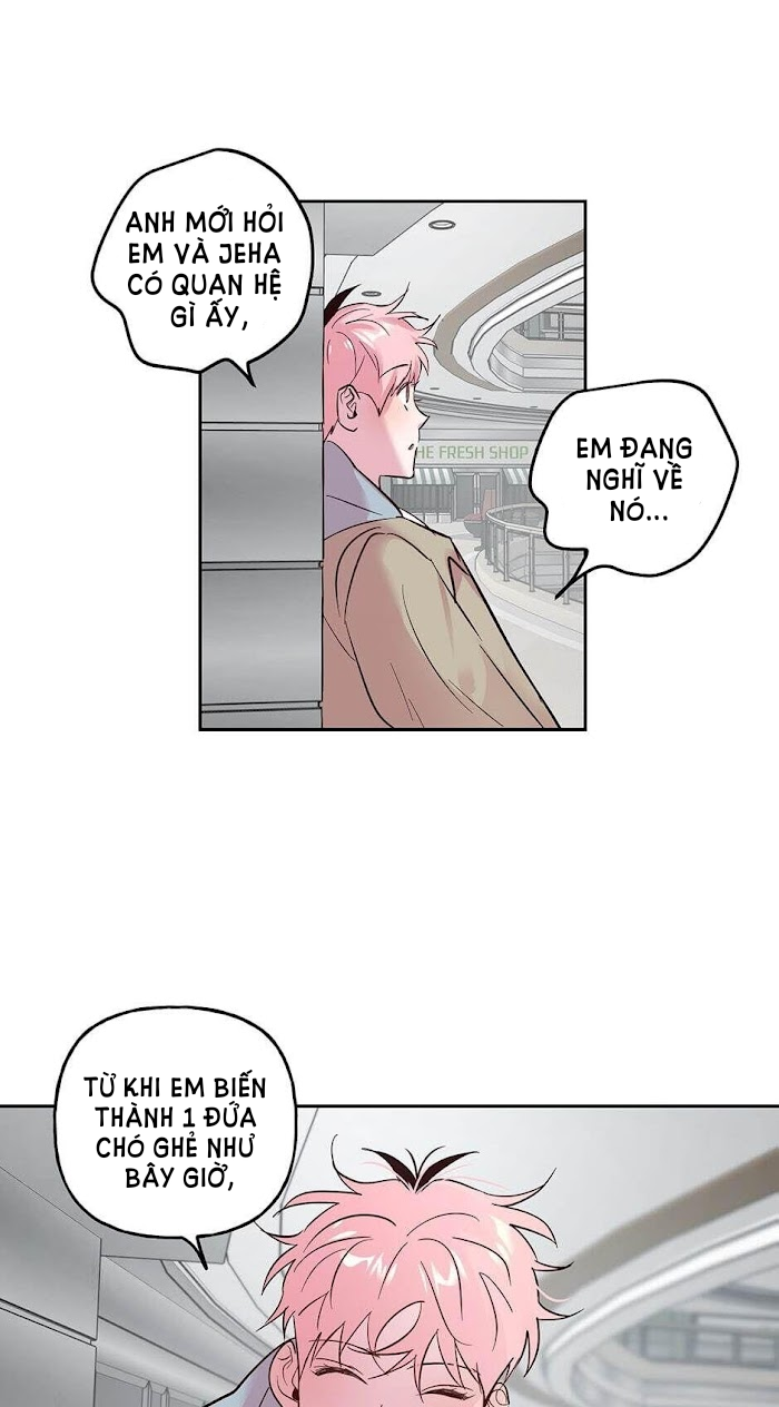 Đọc truyện Assorted Wildness - Chapter 31