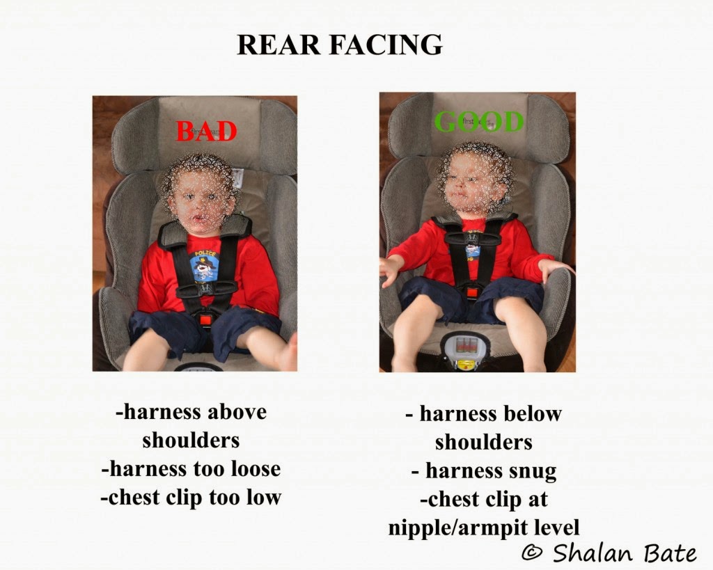 Car Seat Safety Rear Facing Vs Forward Facing