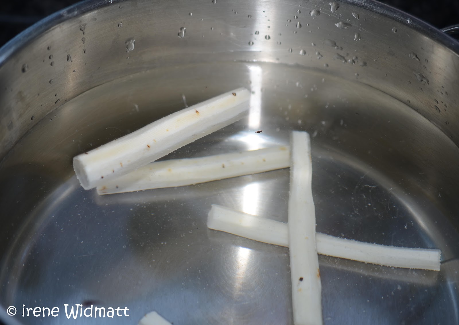 Schwarzwurzeln in Schinken, gratiniert | widmatt Schwarzwurzeln in Schinken, gratiniert | widmatt